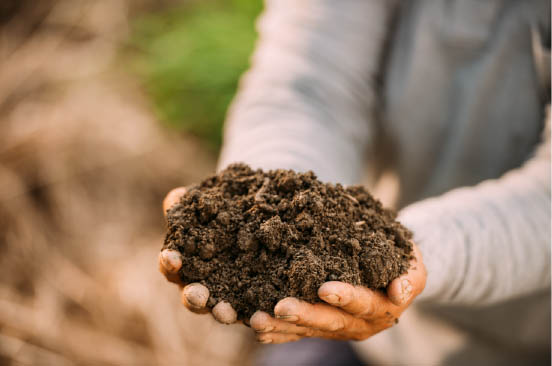 CS超速冷凍設備