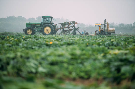 CS超速冷凍設備